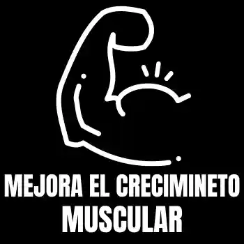 mejora el crecimiento muscular